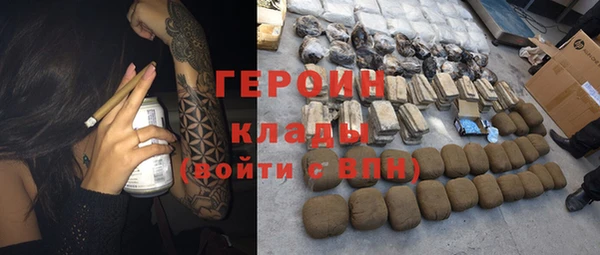 гидра Новодвинск