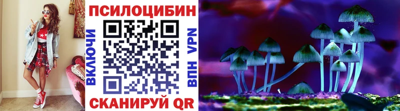 сайты даркнета состав  Отрадная  Галлюциногенные грибы Cubensis  закладка 
